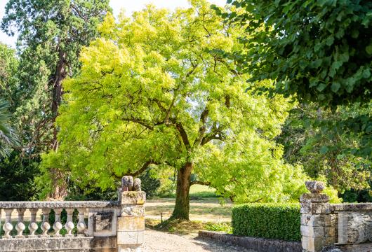 chateaux a vendre centre val de loire   - 22